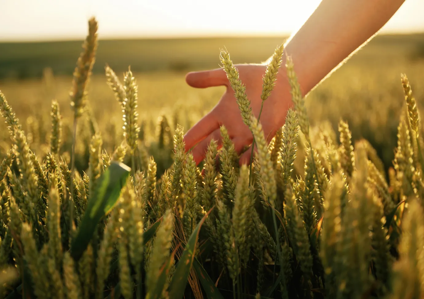 Забота о планете